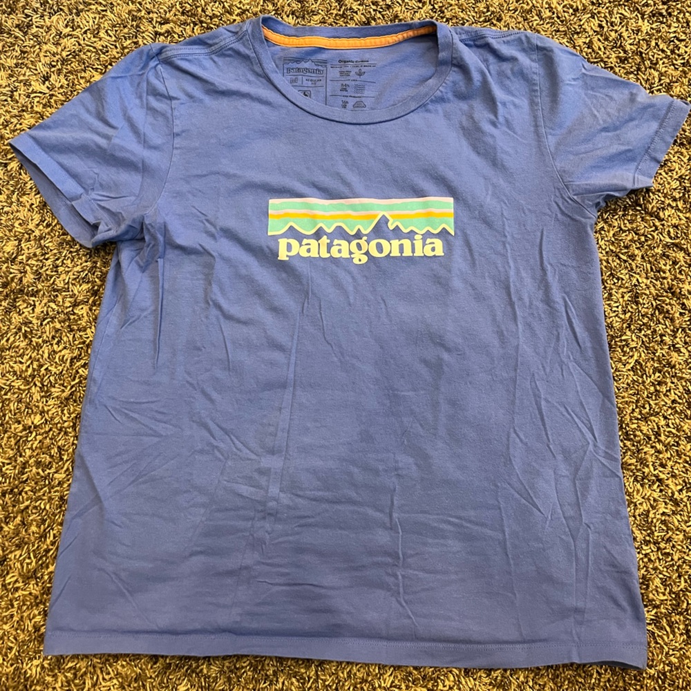 Periwinkle M Patagonia T-shirt